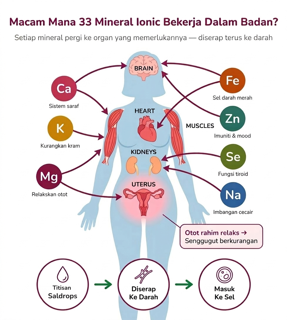 Cara Saldrops bekerja